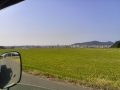 福津の田園風景